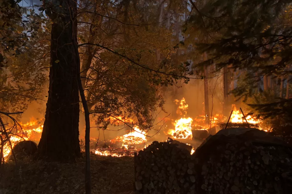 Fire burns in a forest during Camp Fire in Paradise, California